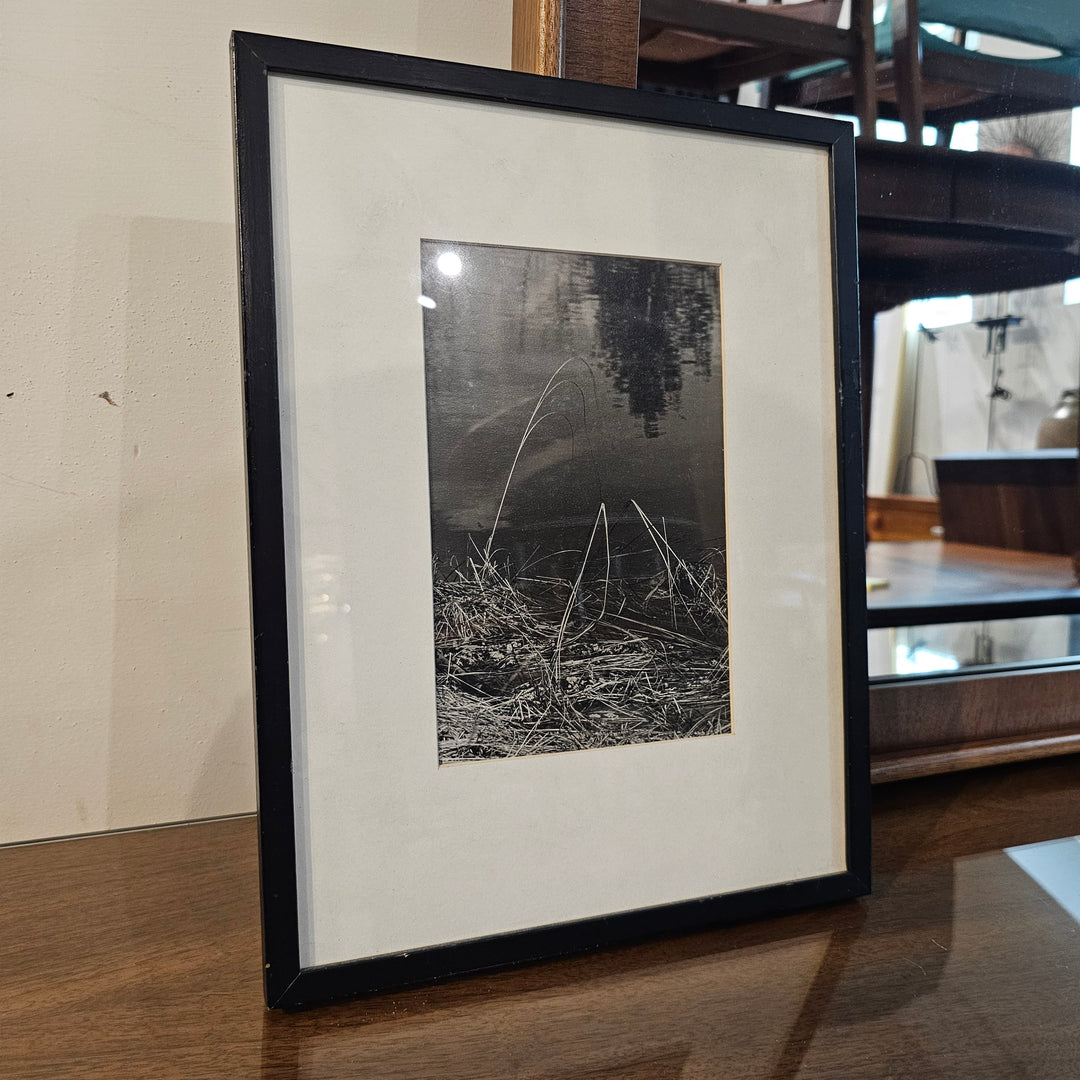 Framed B&W Photograph - Grass #2