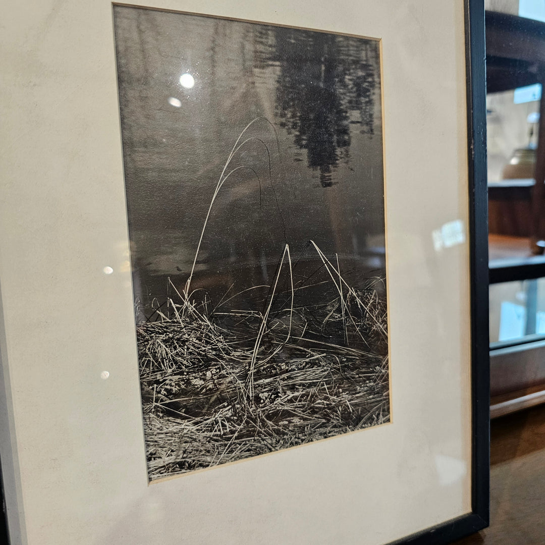 Framed B&W Photograph - Grass #2