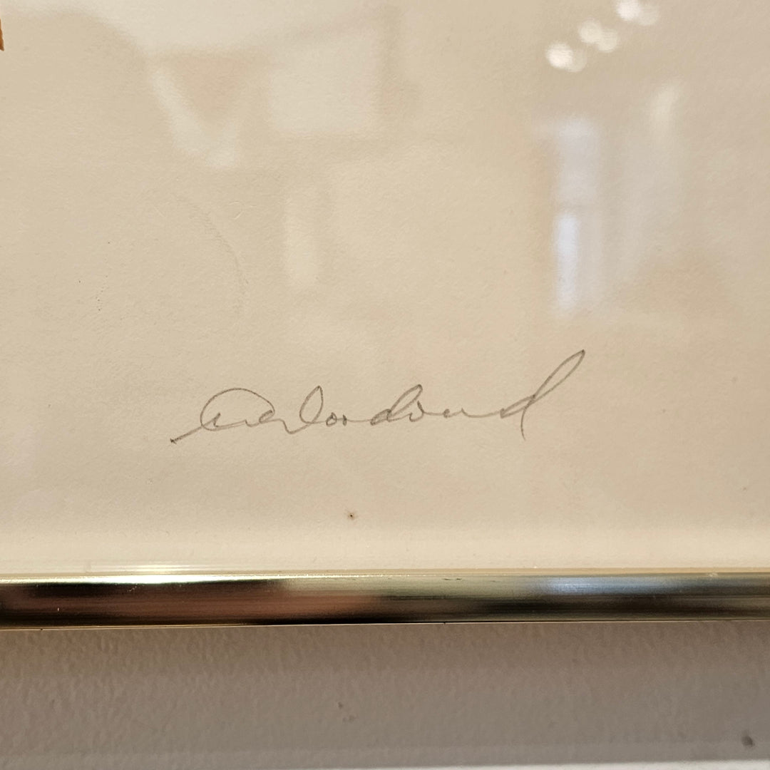 'Starburst' by Warren Woodward