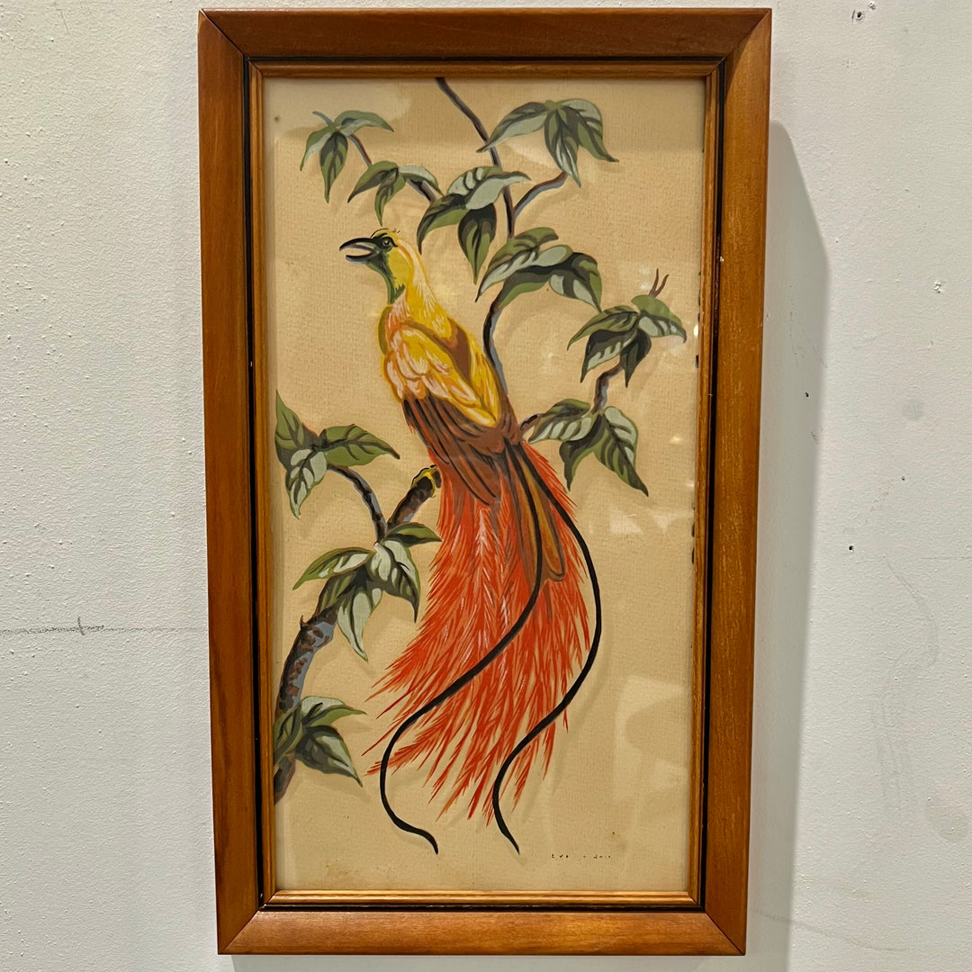 Framed Bird of Paradise Print